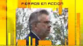 Perros en Acción - Programa 53 Bloque 1
