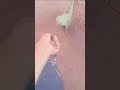 bast video #funny #timepassmeenageet #enjoy