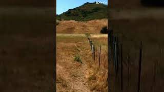 Discover the beauty of this hidden gem in Morgan Hill—a perfect spot for a peaceful, refreshing walk
