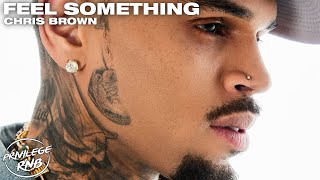 Chris Brown - Feel Something (Lyrics)