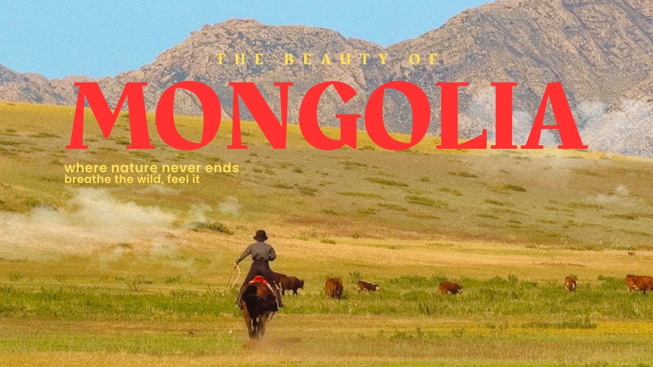 [eng] 그토록 와보고 싶었던 몽골🇲🇳