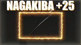 Best Ash of War for Nagakiba +25 - [Elden Ring] Information