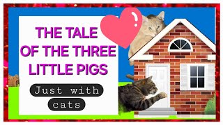 THE THREE LITTLE PIG CATS FEATURING NALA AS THE SMARTEST PIG AND CORY AS THE BIG BAD WOLF 🐺😂