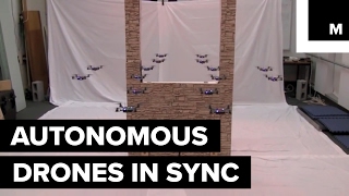 Celebrity Autonomous drones in sync Profile