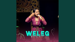 Weleg
