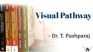 Visual Pathway | Part - 1 | Physiology of Vision | Special Senses | Physiology | Agam Webinars