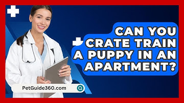 Can You Crate Train A Puppy In An Apartment? - PetGuide360.com