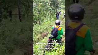 Perjuangan Patroli Bersama Gunung Prahu - Perhutani & Relawan
