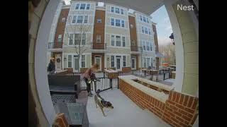UPS guy throws package
