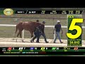 Tampa Bay Downs Live Stream