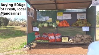 Buying 50kg of Mandarins
