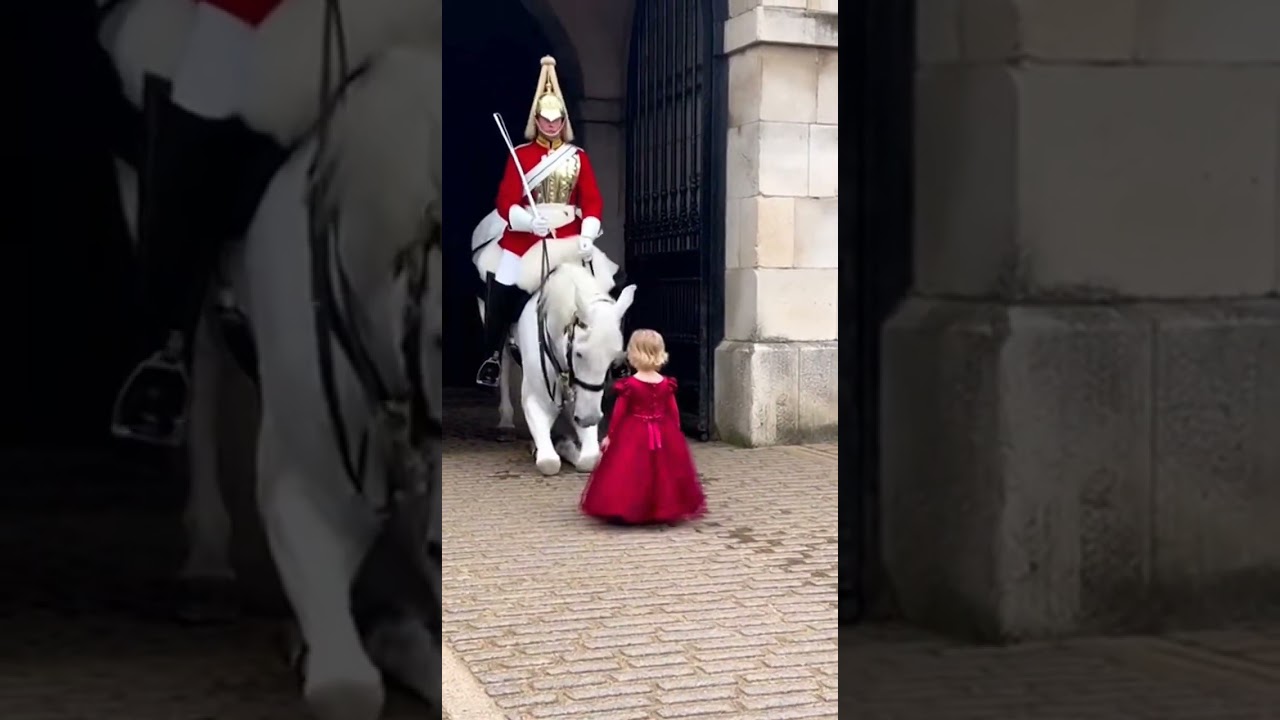 🌿🐴 This Guard Horse Protected with Presence 