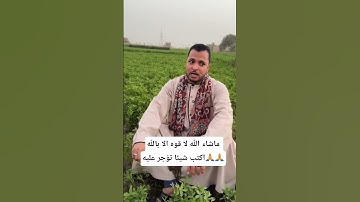 تلاوه مباركه للقارئ الشاب محمود عادل ما شاء الله صوت جميل ورائع #اكسبلور