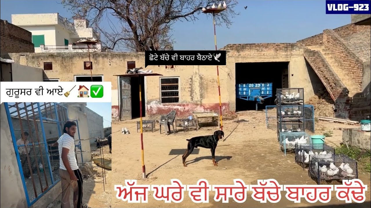 ਲਓ ਜੀ, ਅੱਜ ਘਰੇ ਵੀ ਸਾਰੇ ਬੱਚੇ ਬਾਹਰ ਕੱਢ ਲਏ🕊️, ਤੇ ਗੁਰੂਸਰ ਵੀ ਗਏ ਖੁੱਡਿਆਂ ਦੀ ਸਾਫ-ਸਫਾਈ ਕਰਨ🧹, ਦੇਖੋ ਸਾਰੀ video