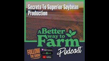 262: Secrets To Superior Soybean Production
