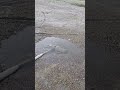River Is Not Dry