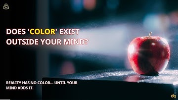What If Nothing Has Color? The Hidden Reality of Light & Perception