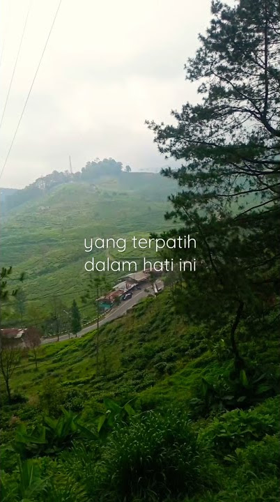 status wa puncak bogor