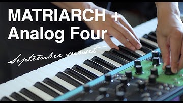 Moog Matriarch + Elektron Analog Four MKII | September sunset