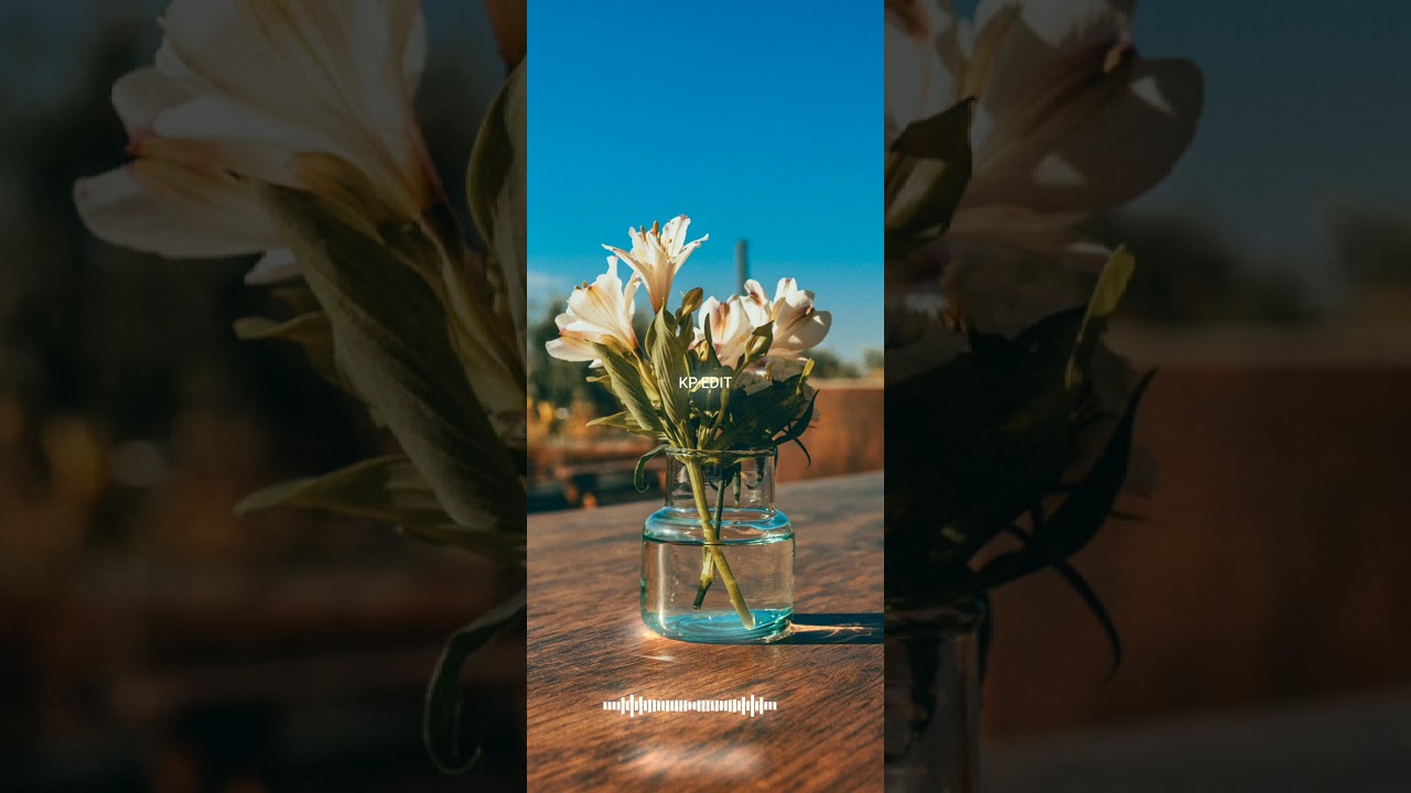 Rutba || satinder sartaaj || 4k full screen status || KP EDIT