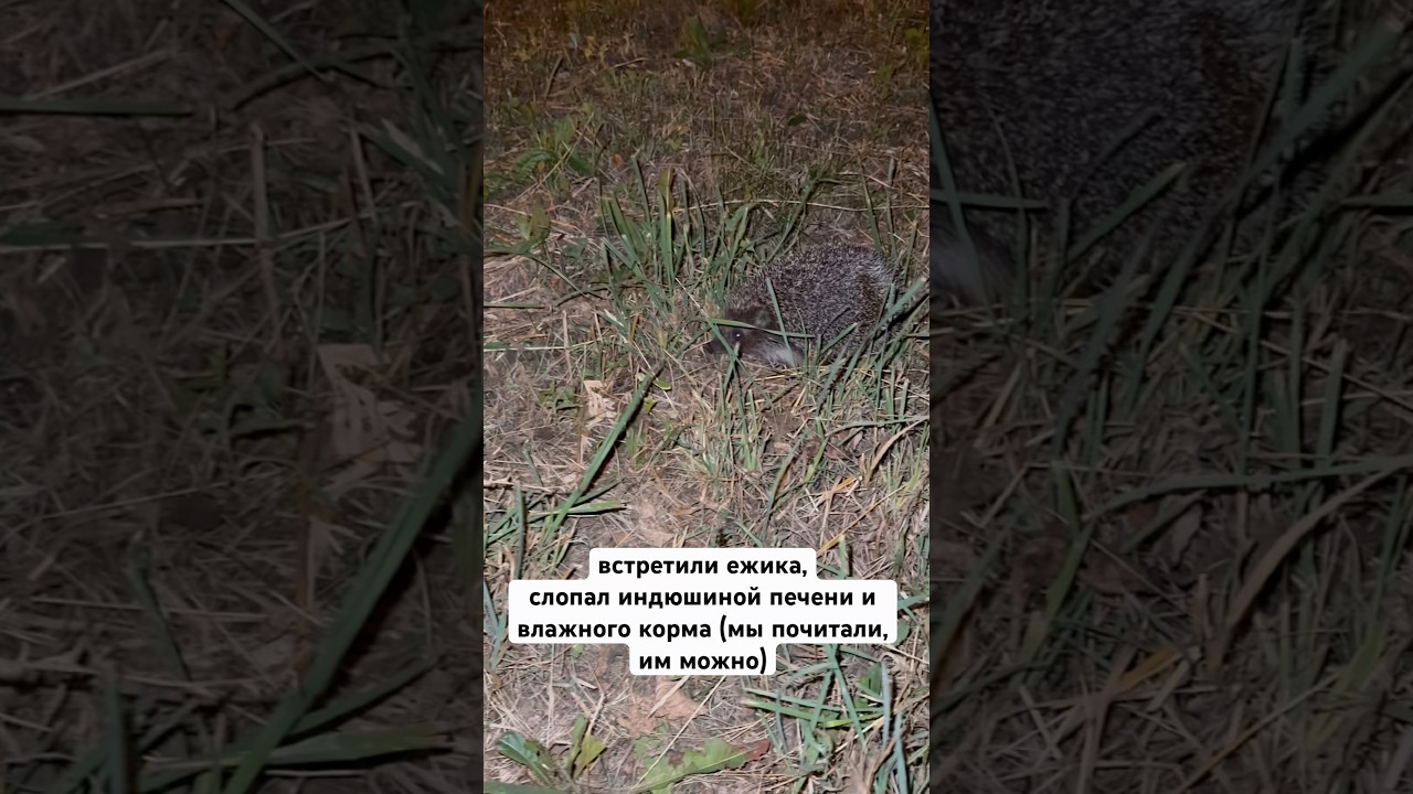 2 июля 2026 г.