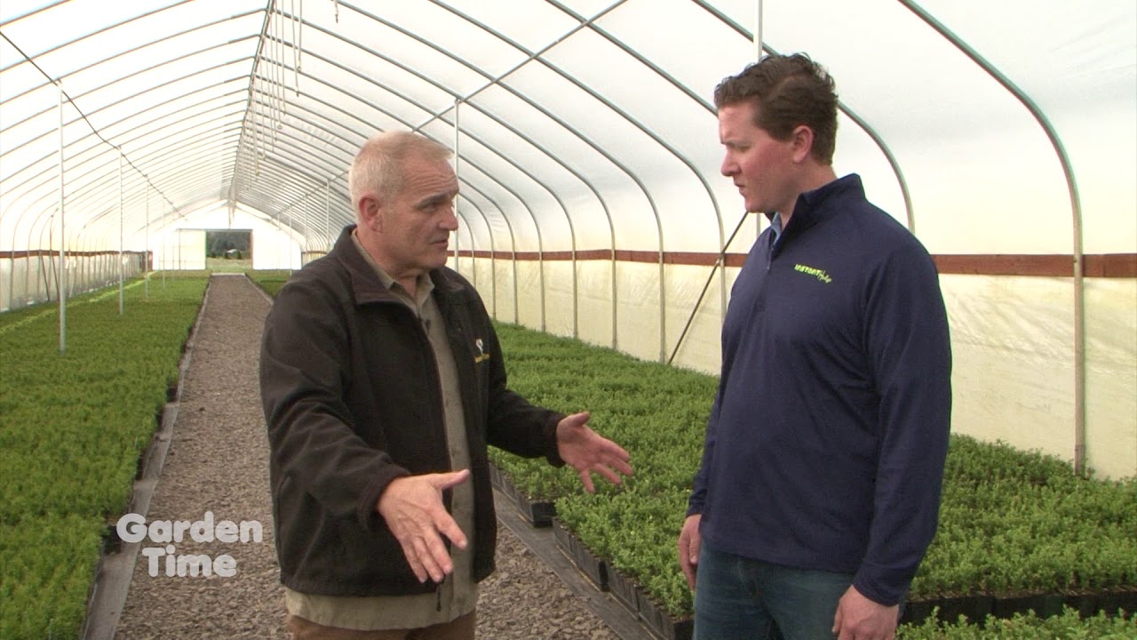 Featured Media Appearances Press And News Instanthedge