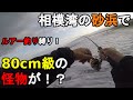 【神奈川県某所】西湘サーフで80cm級の怪物が！？梅雨入りした6月中旬の大潮の日に、相模湾に面している砂浜(海岸)でCOREMAN VJ28を使ったルアー釣りをしてみたら…！【2022.06.12】