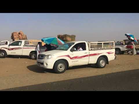 شاهد تغطية خاصة من سوق الجمعة بدوقة القنفذة 25 3 1439