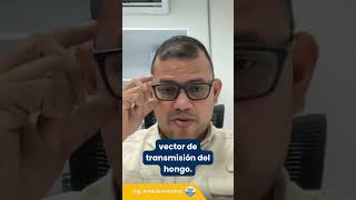 ¿Qué es el R4T?