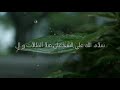موال بعنوان سلام الله علي الشجعان موال بعنوان سلام الله علي الشجعان
