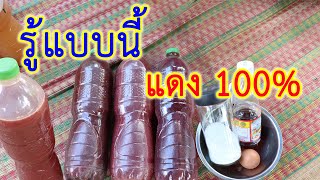 จุลินทรีย์สังเคราะห์แสง แบบไม่มีหัวเชื้อ | อีสานร่มเย็น