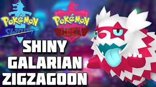 SHINY GALARIAN ZIGZAGOON FULL REACTION! Pokémon Sword and Shield Shiny Highlight! #shinypokemon