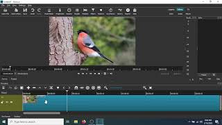 How To Add A Slow Motion And Fast Forward Effect To A Video Using Shotcut Video Editor screenshot 4