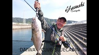 リューシー ダイワ クラブブルーキャビン 海上釣堀 さぐりづり M-350 種類豊富な品揃え ダイワ クラブブルーキャビン 海上釣掘 さぐりづり S-300E ロッド