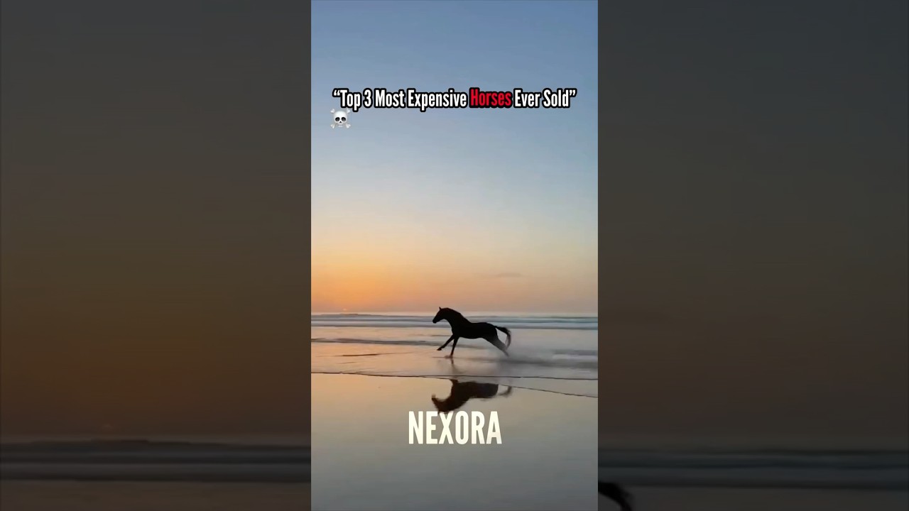 POV: You’re just a horse… but cost $70 MILLION 😳🐎( most expensive horse )