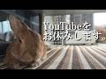 うさぎへYouTubeの休止を伝えました。　(No.2200)