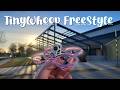 Trippin' about Springtime - TinyWhoop Freestyle