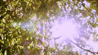 The Future Is Bright   Inspiring and Upbeat Anthem
