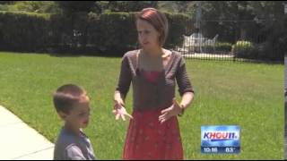 Gotcha Pest Control - Tomball family attacked by bees