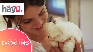 Kendall Hides Her New Puppy From Her Father | Season 1 | Keeping Up With The Kardashians