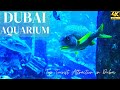 DUBAI MALL AQUARIUM | TOP TOURIST ATTRACTION OF DUBAI| DUBAI MALL | 4K ULTRA HD| COMPLETE TOUR 2021