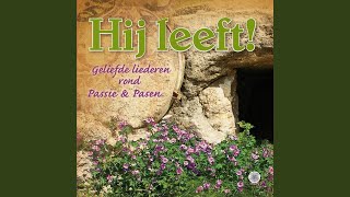 Als ik bedenk (Instrumentaal) screenshot 3