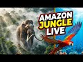 🔴 LIVE Amazon Jungle Mystery 😱🦣 | Birds, Wild Animals &amp; Ocean World