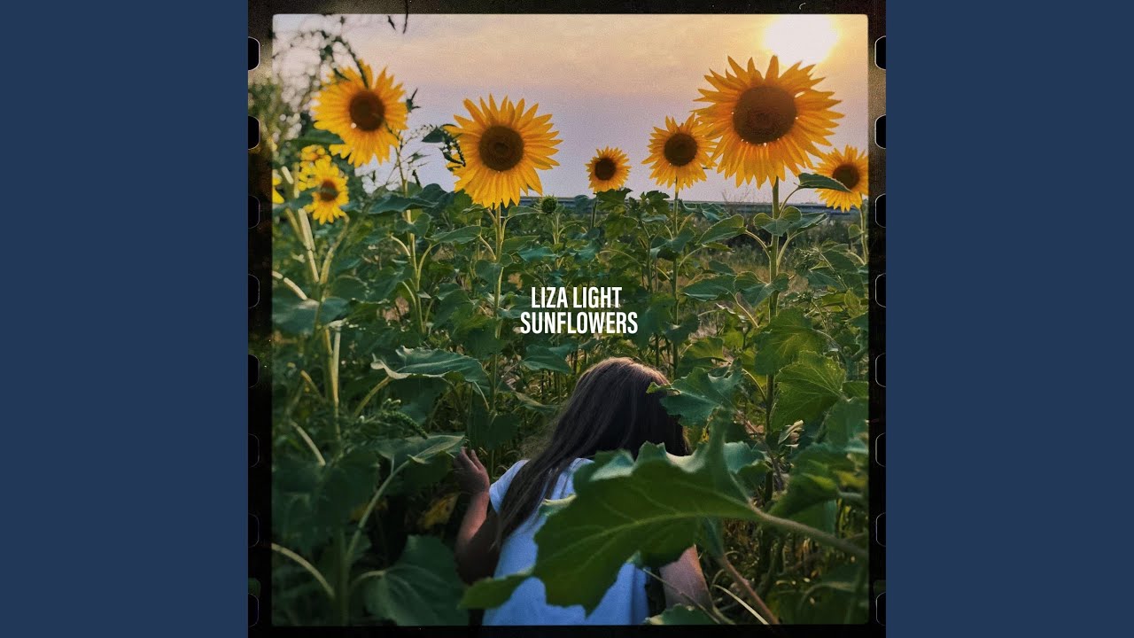 Watch Sunflowers on YouTube Watch Sunflowers on YouTube