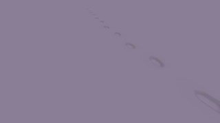 Neoaxis engine - Real footprints on snow #1