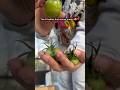 Come learn something new #wintergardening #overwintering #tomato #plants #fyp