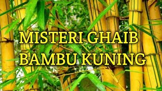 Misteri GHAIB Bambu Kuning #ghaib #misteri #bambukuning #viral