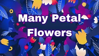 Flowers with Many Petals | Flowers Have Many Petals | FLOWERS of the World | Name of the flowers