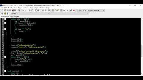 File Processing with Add, Delete, and Show Function (C Programming)