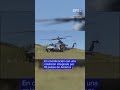 EE.UU. activa una fuerza de tarea para reforzar la lucha contra los carteles